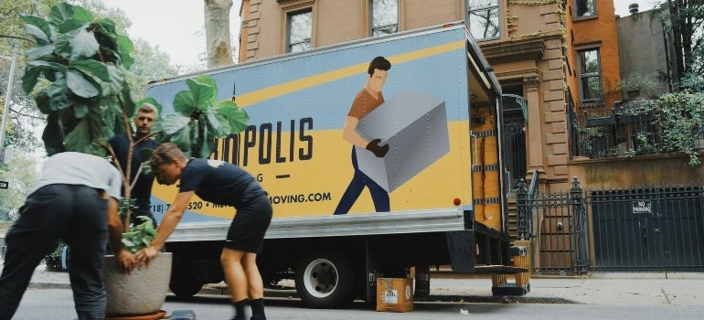charges with international movers