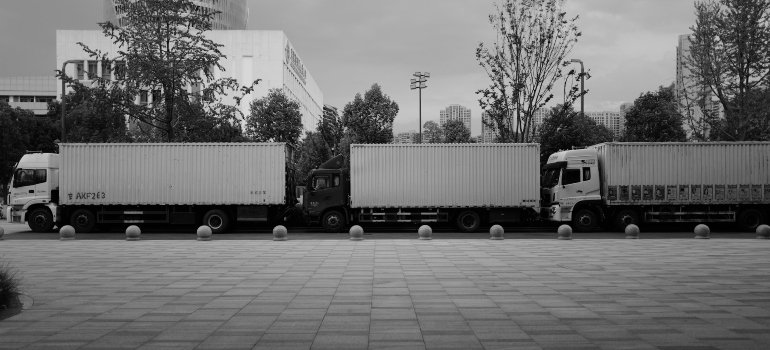 international movers vs freight forwarders