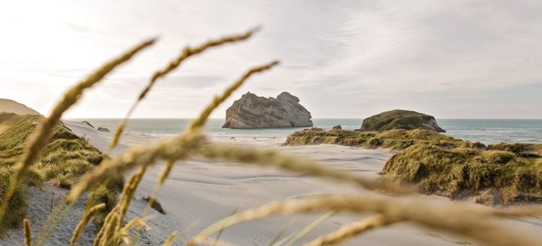 enjoying the ocean after moving to new zealand