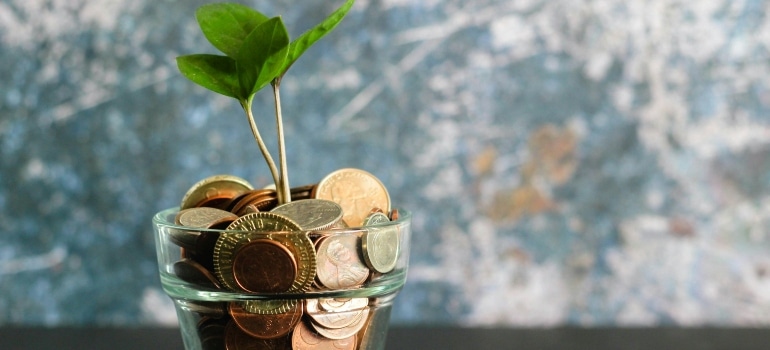 Plants in a glass with coins 
