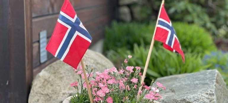 a potted plant with two flags on it