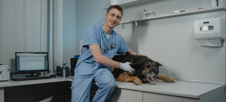 vet clinic